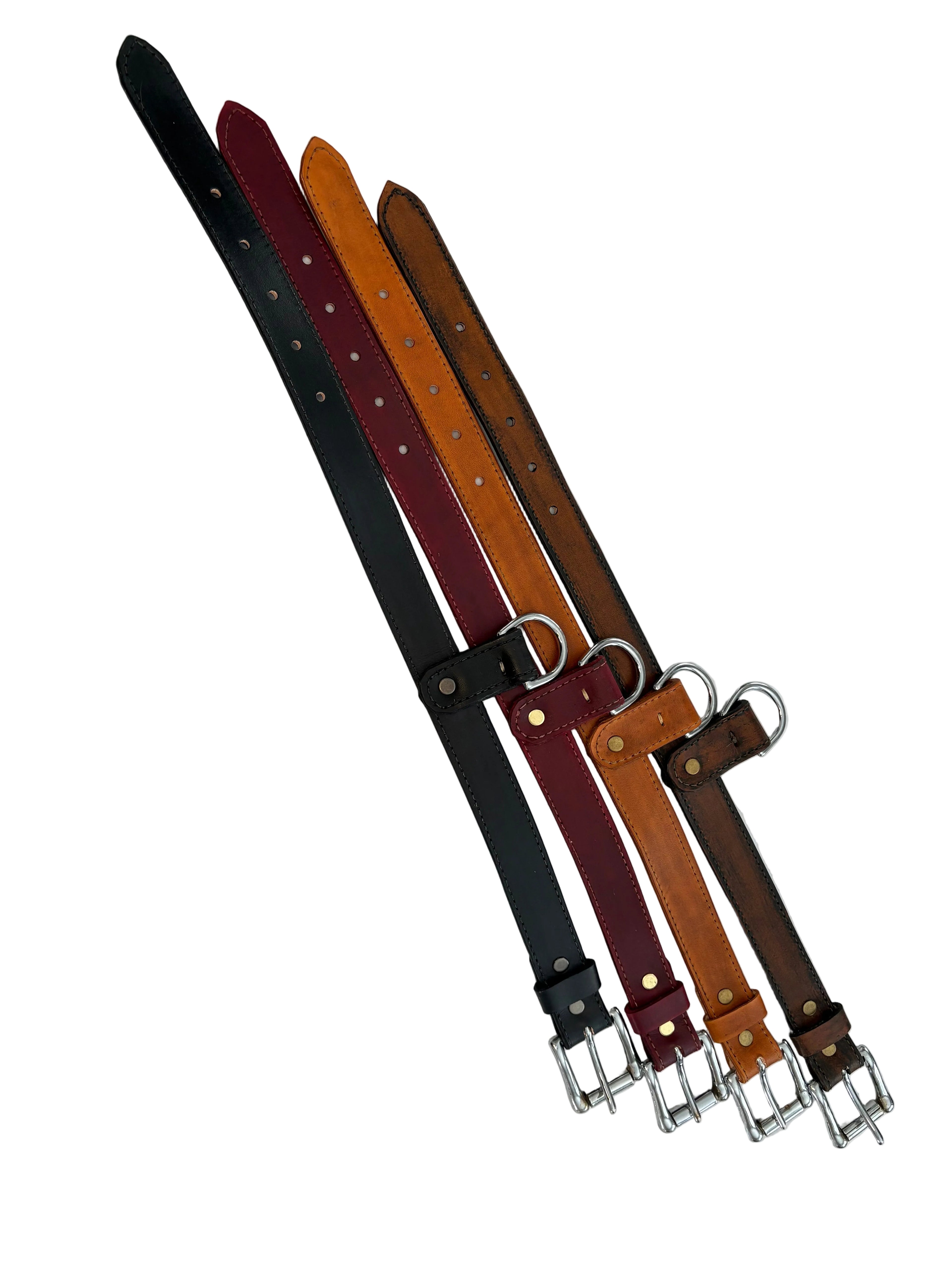 Leather dog collars 